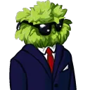 krzew