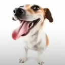 avatar wenomechainsama