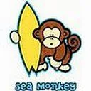 ceamonks890