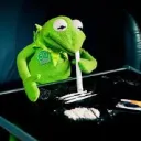 the_kermit_experience