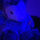 bambam22341