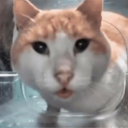 avatar bruhsoundeffect