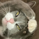 lujnei#8889's avatar