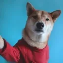 ralphquix
