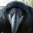zoruak777
