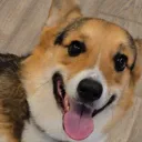 forbrad