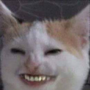 shadowxstalker#9159's avatar