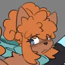 soft_pawz