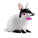 justpixxy
