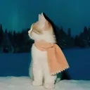 stephyo28