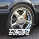 foxbody