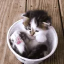 meiiija