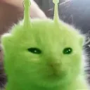 tosiv