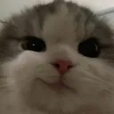 tydus_
