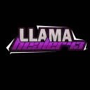 llamahealer43