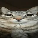 succo's Avatar