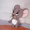 stotaa