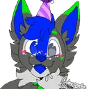 vergthehusky