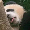 birgwow