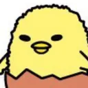 shakynicoden