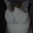 tvkedv