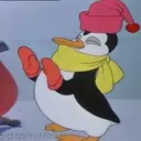 pochy51