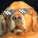thekingmango