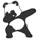 pandabbear