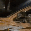 avatar 𝕯𝕵_𝕸𝖆𝖗𝖐𝖔𝖛𝖎𝖈𝖍