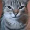 srjy