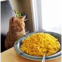 estherpandacat