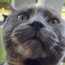 callibooo member profile picture