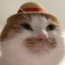 monkeydmills