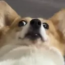 r0m3r1t0