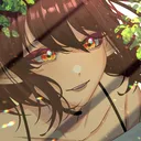 .shoog
