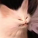 diegocargnin discord avatar