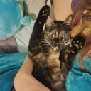 Discord Avatar