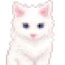 catshit4151