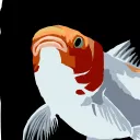 afishman