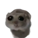timetobeOP