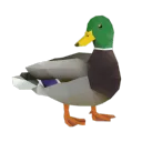 ducktummy