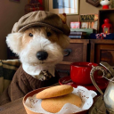 avatar KIR                          BEY