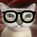 dibcord avatar