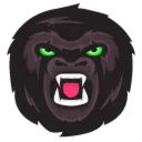 machosasquatcho
