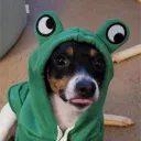 calculatedcadtv