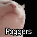 batcatxd