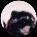 wango_13#6760's avatar