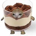 meowsticmew