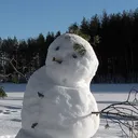 pootusmaximus