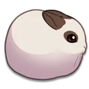 pipann